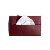 Tissue Holder