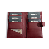 Family Passport Holder