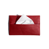 Tissue Holder