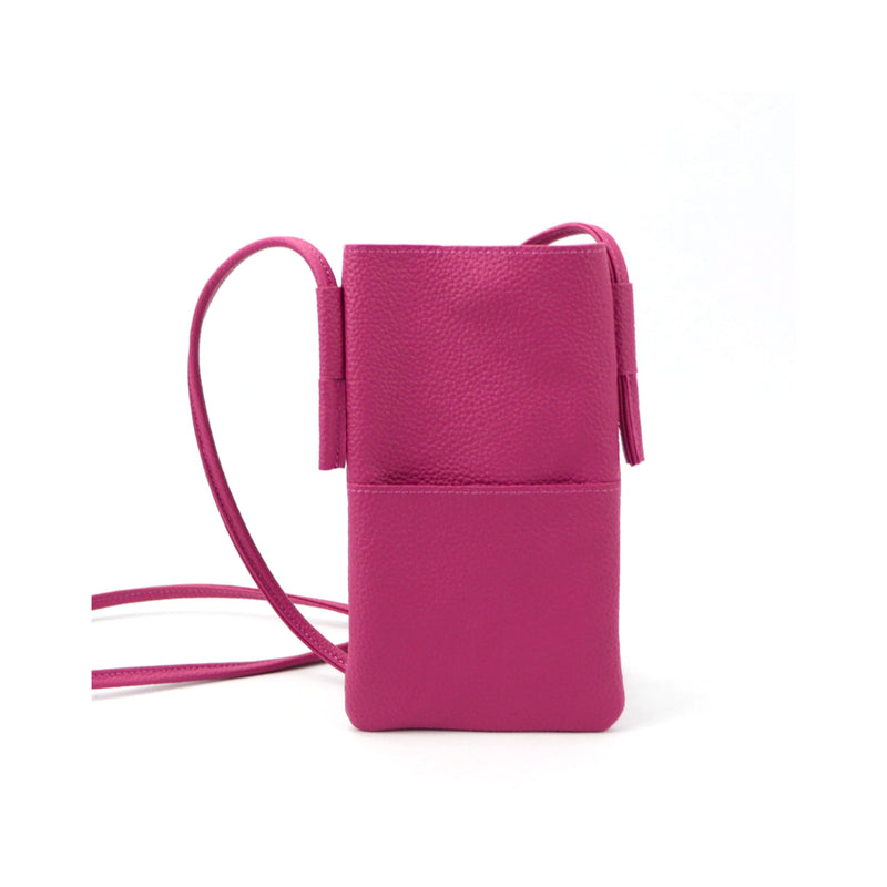 Mini Crossbody