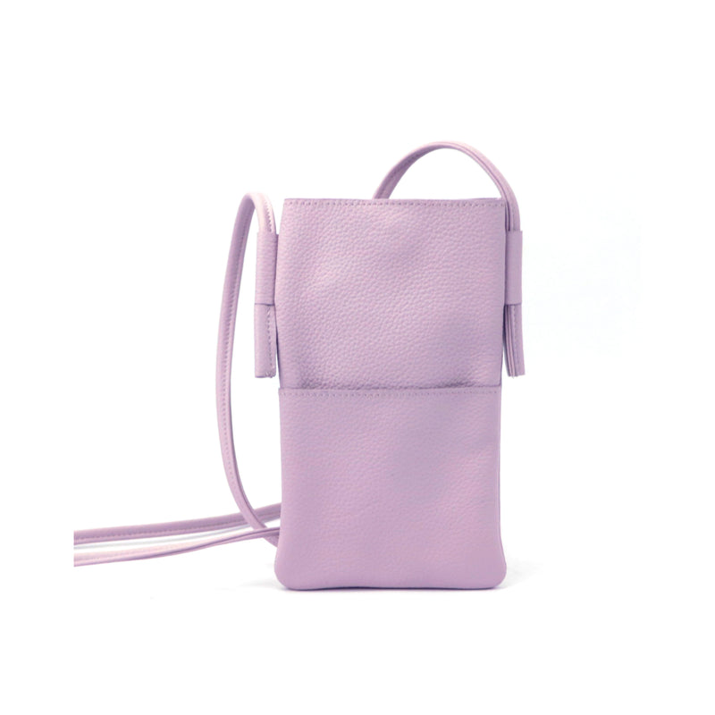 Mini Crossbody