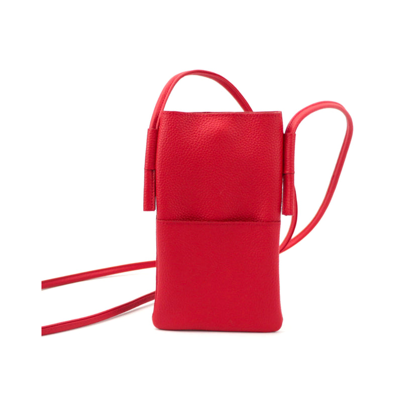 Mini Crossbody